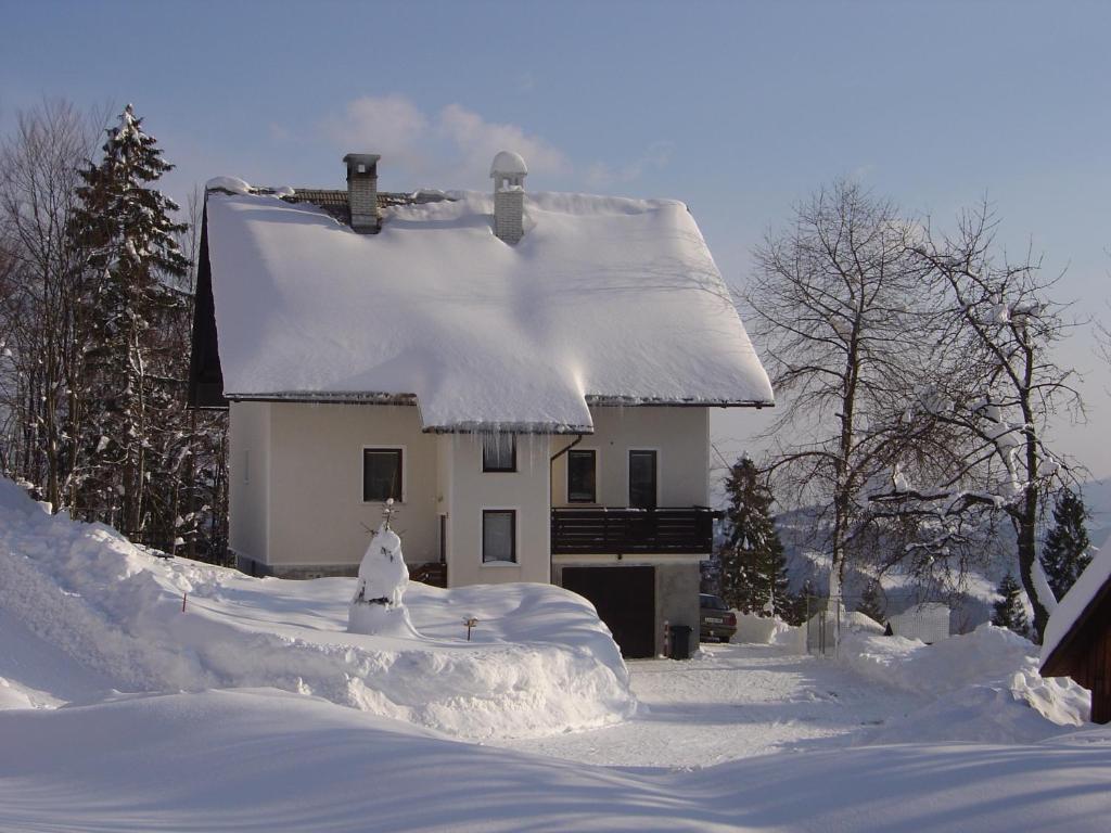 Apartments Pri Marjetki Церкно Экстерьер фото