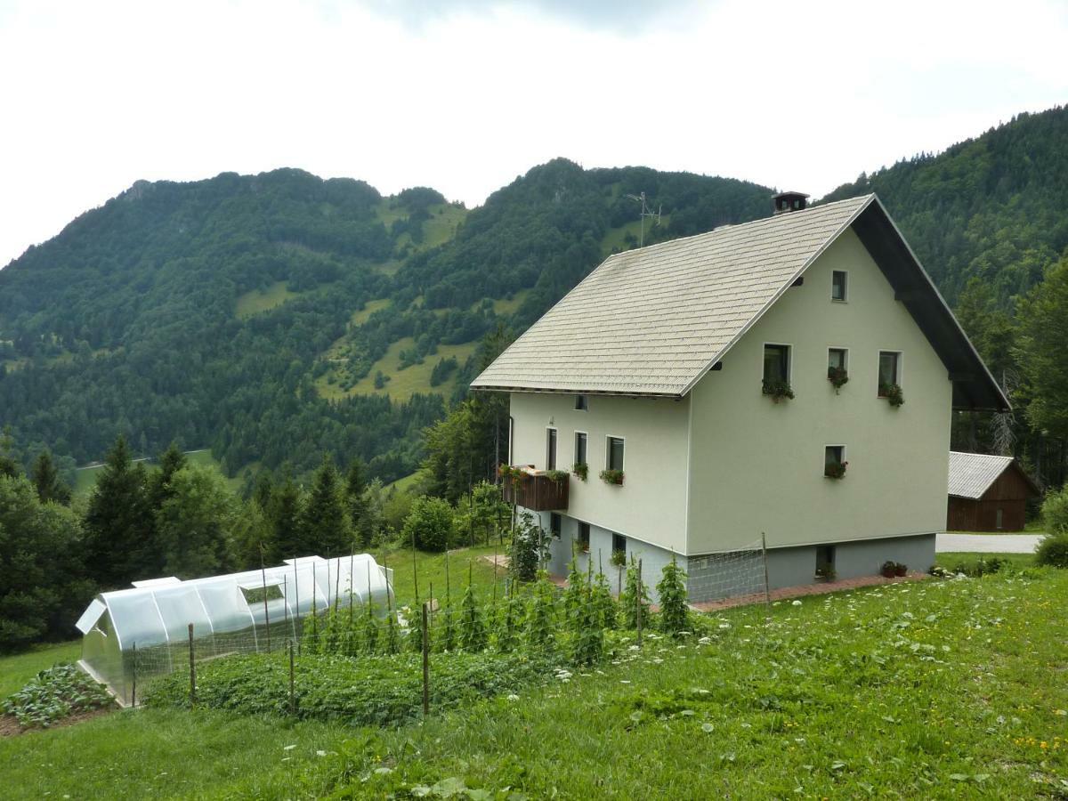 Apartments Pri Marjetki Церкно Экстерьер фото